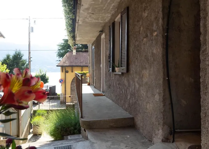 Mamma Ciccia - Root 11